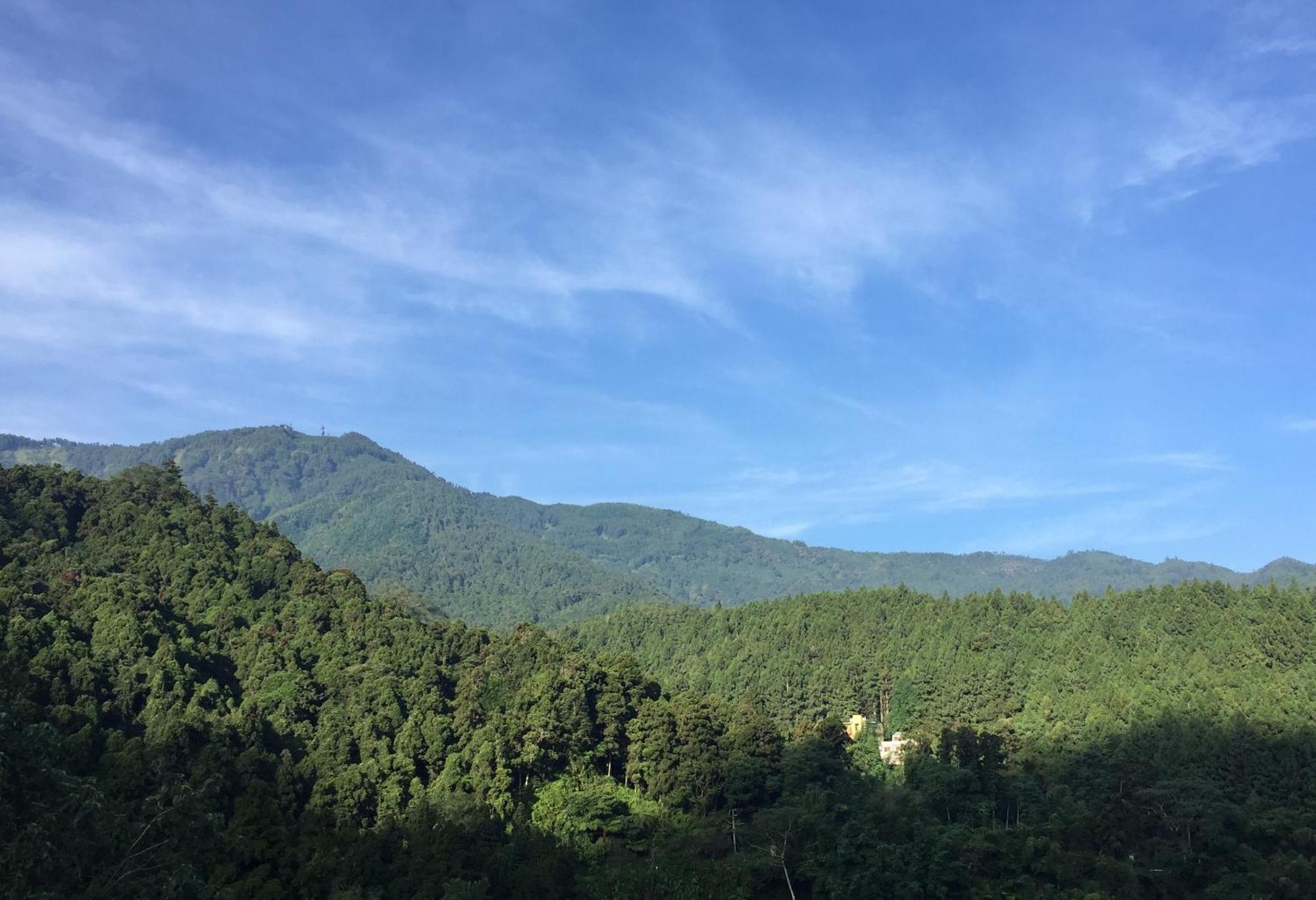 Ginkgo Hotel Lugu Bagian luar foto