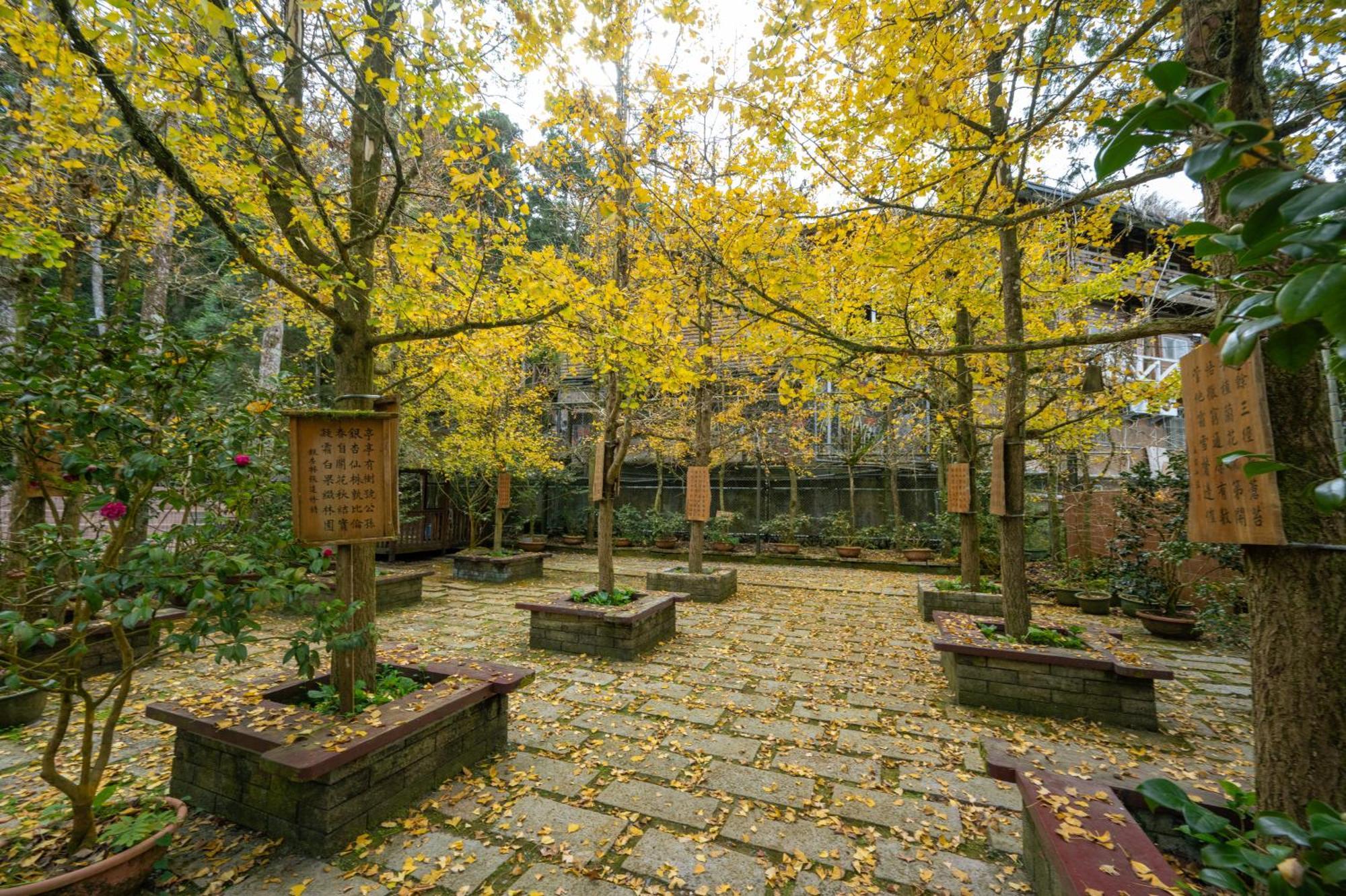Ginkgo Hotel Lugu Bagian luar foto
