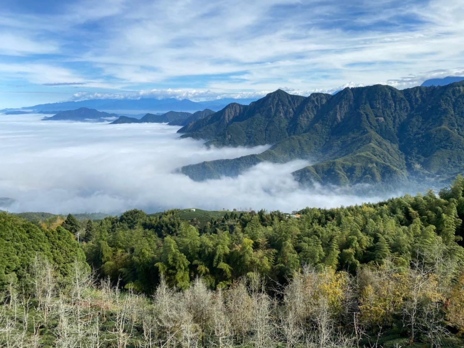 Ginkgo Hotel Lugu Bagian luar foto