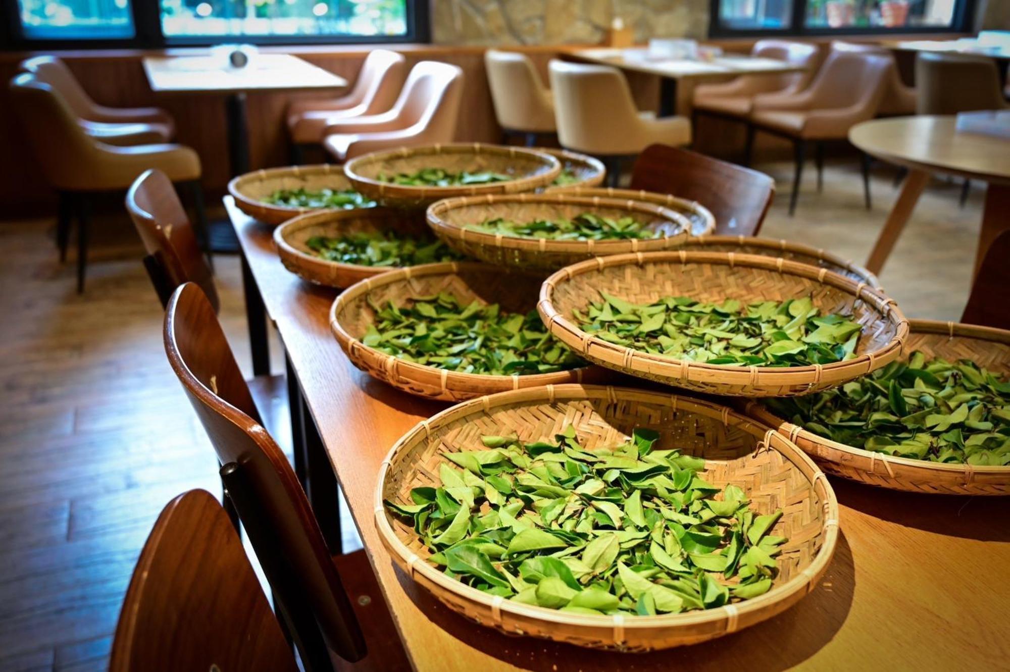 Ginkgo Hotel Lugu Bagian luar foto