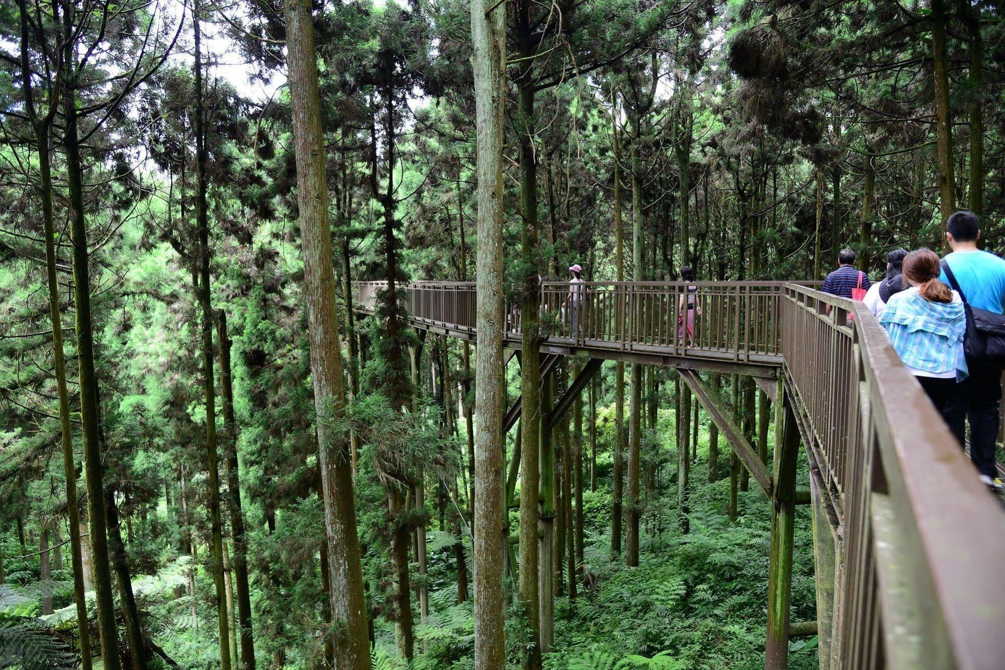 Ginkgo Hotel Lugu Bagian luar foto
